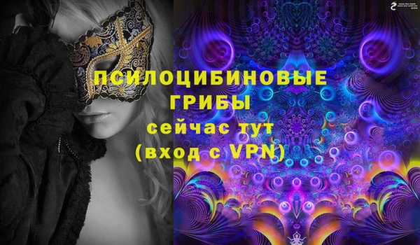 spice Зеленодольск