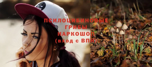 мяу мяу мука Зеленокумск