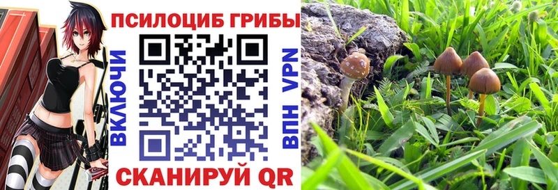Псилоцибиновые грибы Cubensis  Купить где  Льгов 